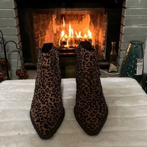 Circus by Sam Edelman leopard ankle boots